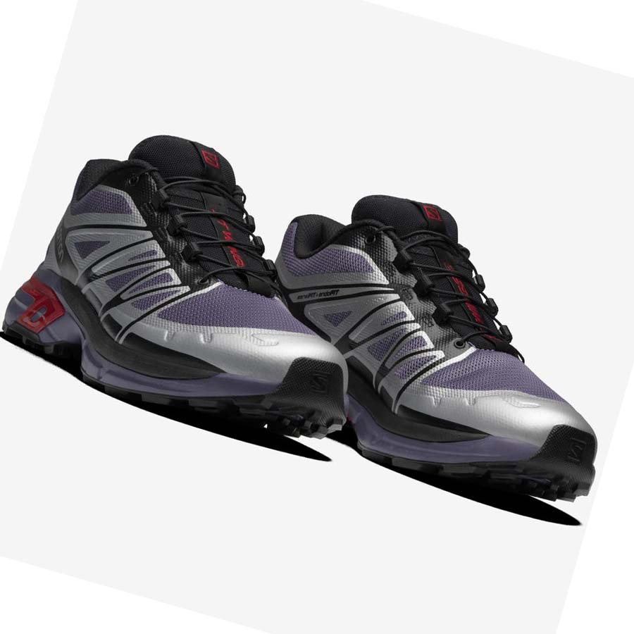 Tenis Salomon XT-WINGS 2 Hombre Plateados | MX 3411AHK